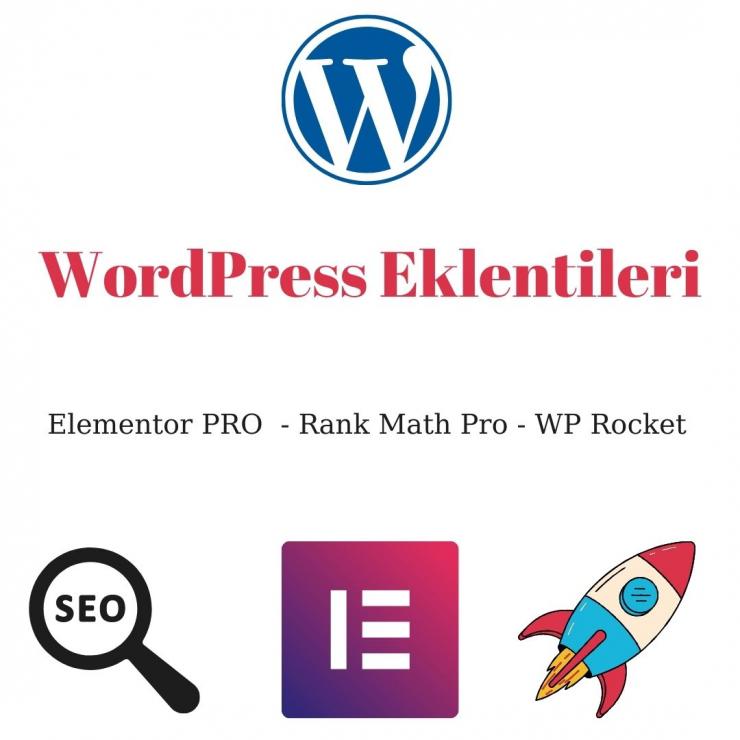 Lisanslı Kurulum WordPress Eklentileri