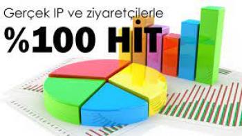 Organik Anahtar Kelime Çıkışlı Trafik ( Hit Desteği )