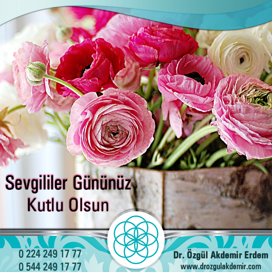 Aylık Sosyal Medya içerik  yönetimi / Facebook& Instagram