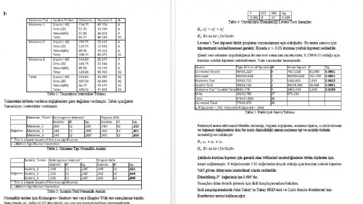 Ben, SPSS, R programlama veya R studio, Stata, Excel, Eviews ve Minitab ile veri girişi ve veri analizi yaparım.