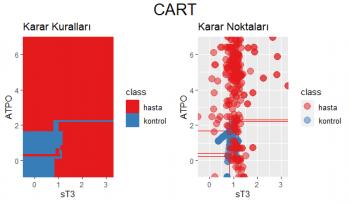 Ben, SPSS, R programlama veya R studio, Stata, Excel, Eviews ve Minitab ile veri girişi ve veri analizi yaparım.