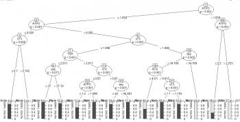 Ben, SPSS, R programlama veya R studio, Stata, Excel, Eviews ve Minitab ile veri girişi ve veri analizi yaparım.