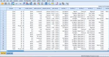 Ben, SPSS, R programlama veya R studio, Stata, Excel, Eviews ve Minitab ile veri girişi ve veri analizi yaparım.