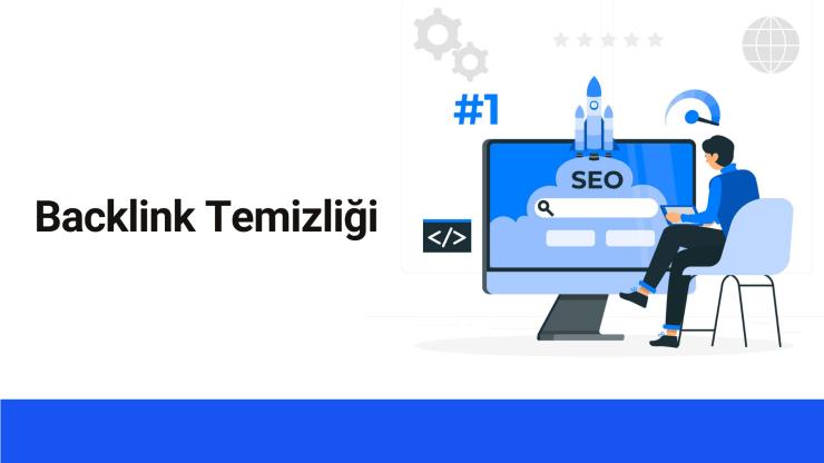 Zararlı ve Spam Backlink Raporu