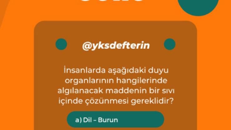 en yaratıcı ve ilgi çekici İNSTAGRAM STORY TASARIMLARINIZI yapabiliriz