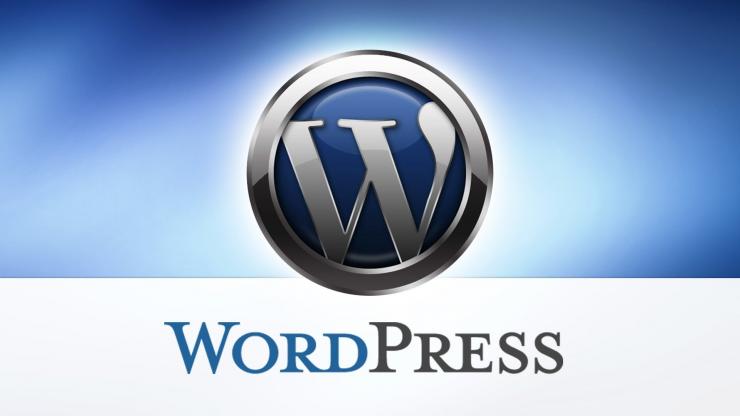 Wordpress Kurulumu + Film teması + tüm optimizasyon hizmeti