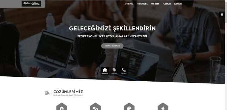 Web Sitesi ve İçerik Girişi