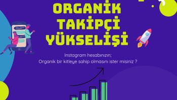 Instagram Takipçi Paketleri