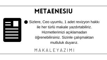 SEO UYUMLU, HER TÜRLÜ MAKALE YAZIMI