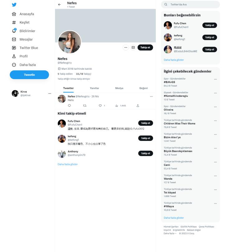 33k Takipçili Aktif Organik Twitter Hesap
