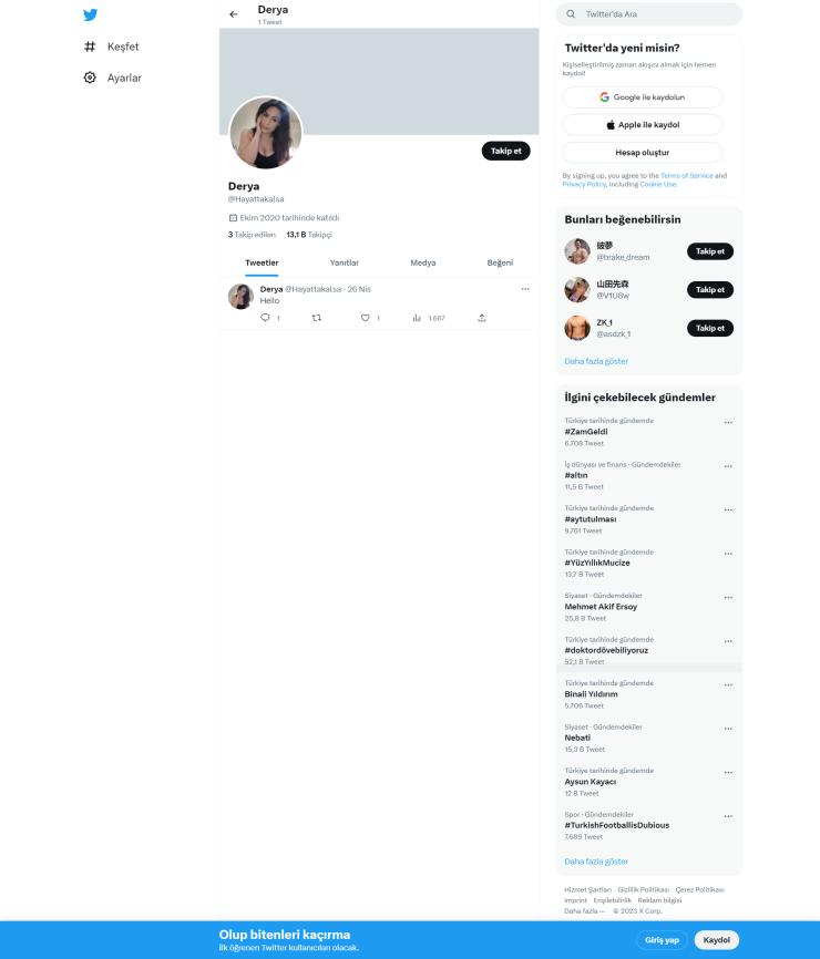13k Takipçili Aktif Organik Twitter Hesap