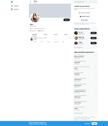 16k Takipçili Aktif Organik Twitter Hesap