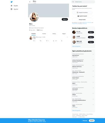 16k Takipçili Aktif Organik Twitter Hesap