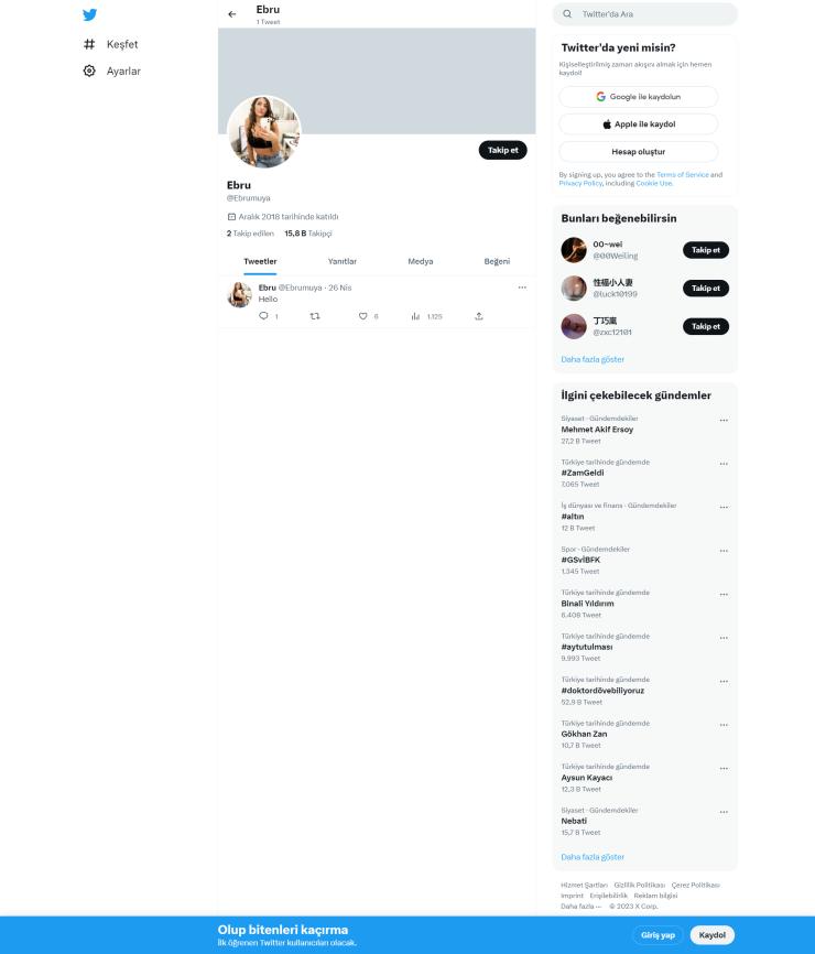 16k Takipçili Aktif Organik Twitter Hesap