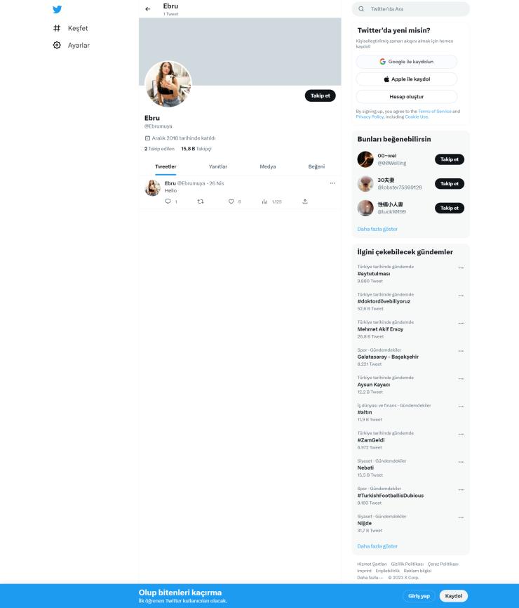 16k Takipçili Aktif Organik Twitter Hesap