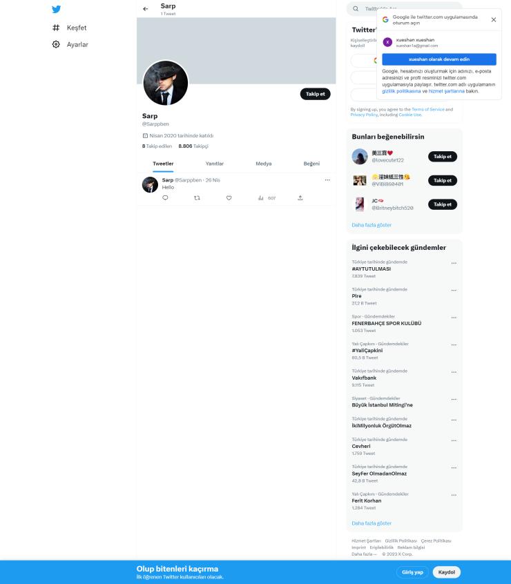 9k Takipçili Aktif Organik Twitter Hesap
