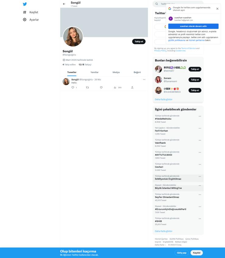 12k Takipçili Aktif Organik Twitter Hesap