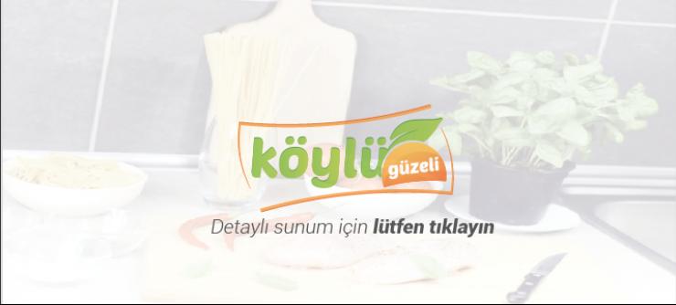 Profesyonel Logo, Kurumsal Kimlik, Banner Tasarımları