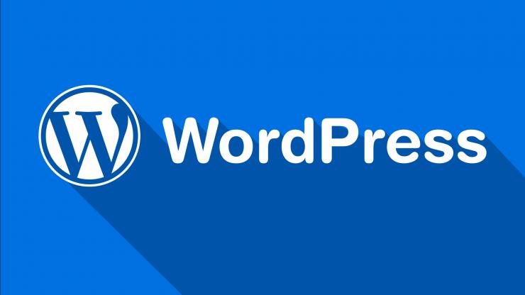 Web sitenize profesyonel SEO uyumlu Wordpress  + tema kurulumu yapabilirim.
