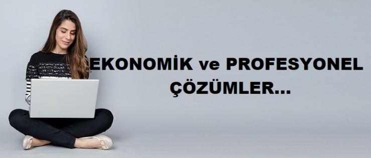 EKONOMİK Profesyonel Görünüm Blogger Tabanlı com Uzantılı SİTE TASARIMI