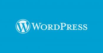 Wordpress Tema Kurulum ve Türkçeleştirme