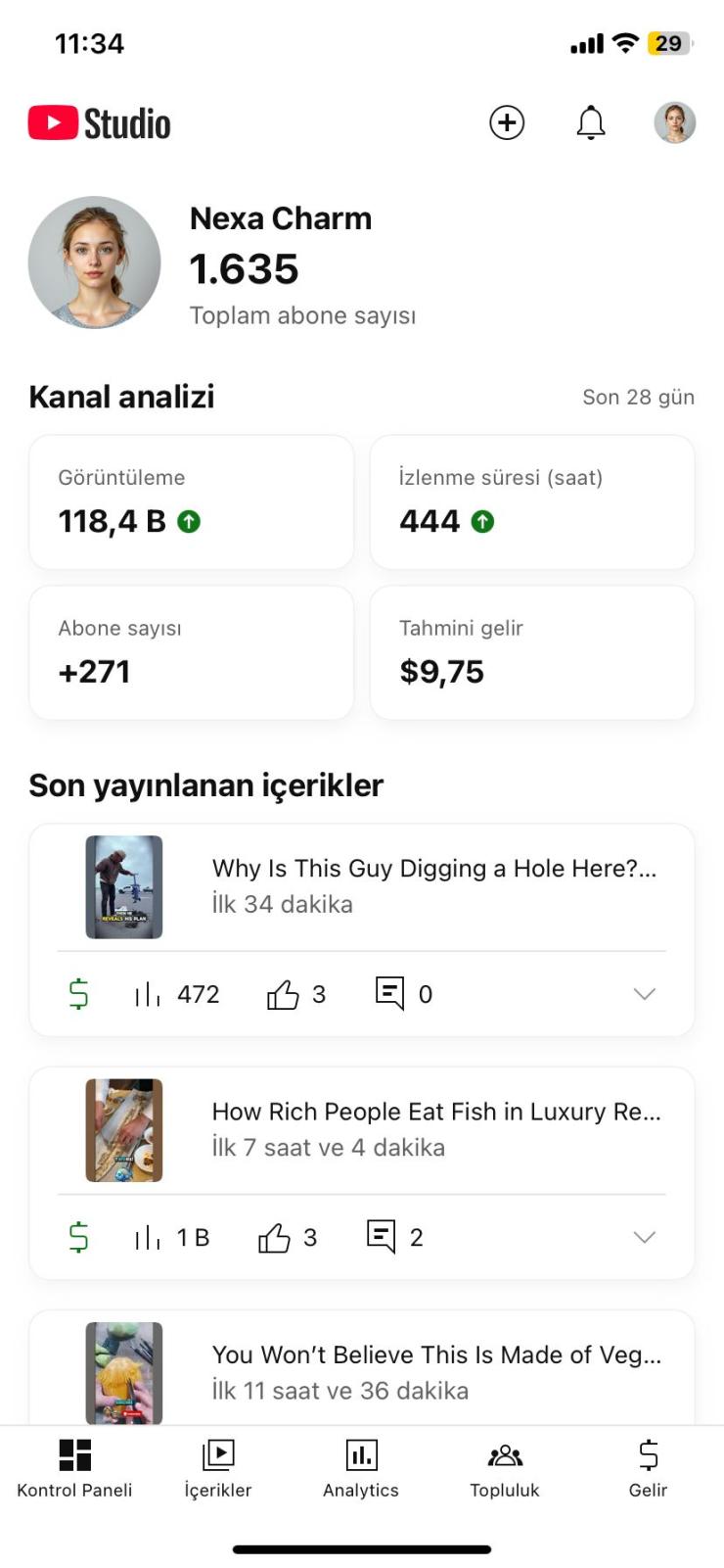 gelirli global youtube kanalı alana eğitimiyle
