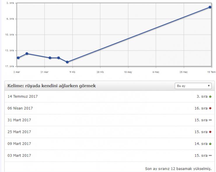 Geniş Kapsamlı SEObor SEO Paketleri - Sitenizi Google'da Yükseltin!