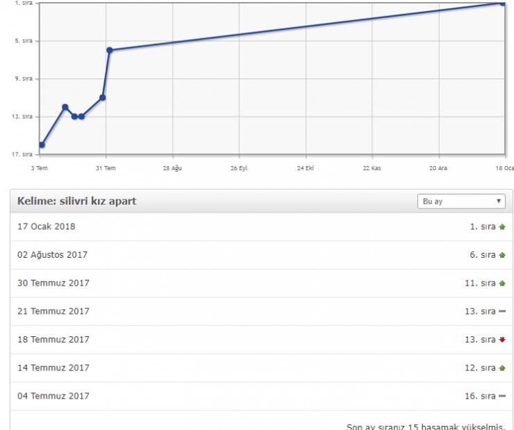 Geniş Kapsamlı SEObor SEO Paketleri - Sitenizi Google'da Yükseltin!