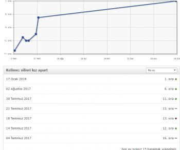 Geniş Kapsamlı SEObor SEO Paketleri - Sitenizi Google'da Yükseltin!