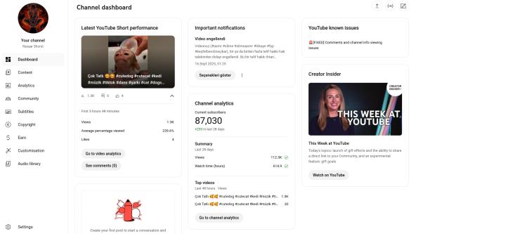 87.029 aboneli YouTube chanell
