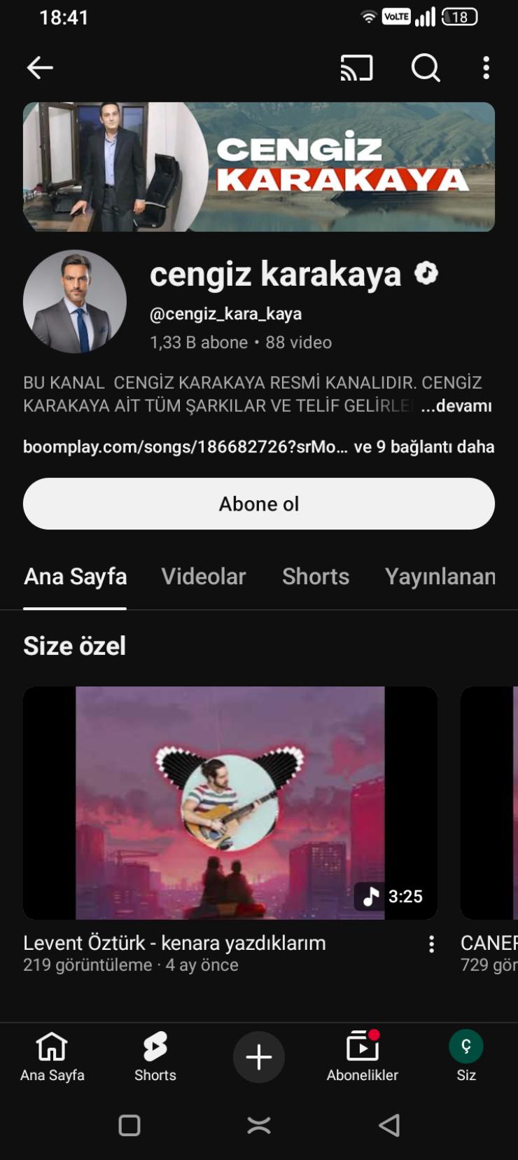 Satılık sanatçı kanalı 