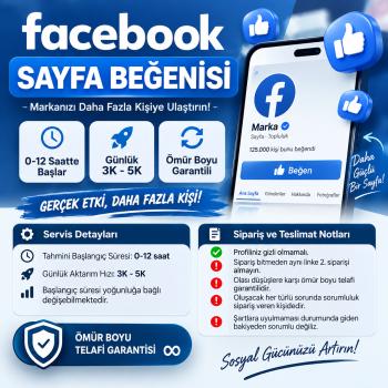 Facebook 500 Sayfa Beğeni + Takipçi Hizmeti