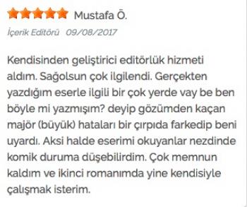 Profesyonel Geliştirici Editörlük