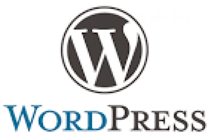 Wordpress İşleri Yapılır
