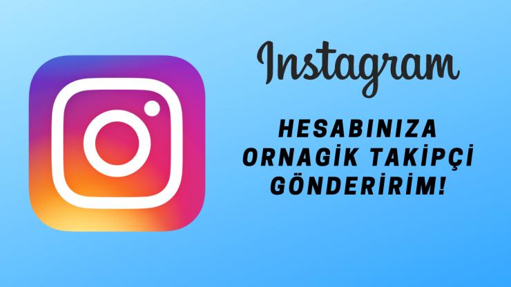 1 YIL GARANTİLİ İNSTAGRAM TAKİPÇİ PAKETLERİ