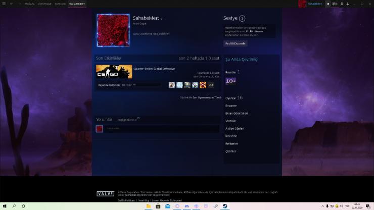 ÇOK UYGUNA STEAM HESAP!