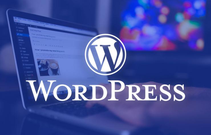Domain ve Hosting Dahil Wordpress Site Kurulumu