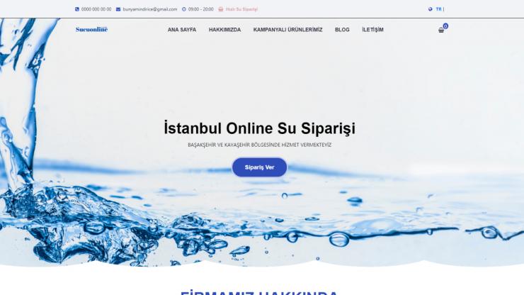 Ben, anahtar teslim profesyonel web sitesi yaparım