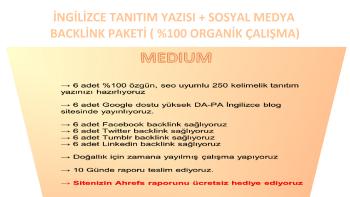 DA + 50 PA + 40  NEWS Kayıtlı İNGİLİZCE Blog Backlink + Sosyal Medya Backlink Paketi 