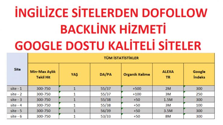 DA + 50 PA + 40  NEWS Kayıtlı İNGİLİZCE Blog Backlink + Sosyal Medya Backlink Paketi 