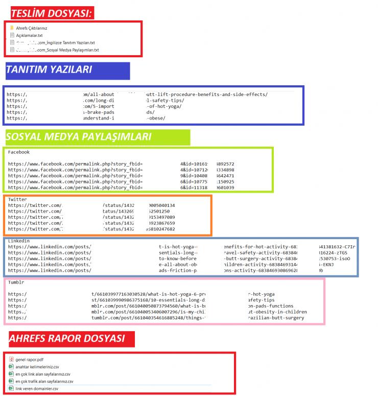 DA + 50 PA + 40  NEWS Kayıtlı İNGİLİZCE Blog Backlink + Sosyal Medya Backlink Paketi 