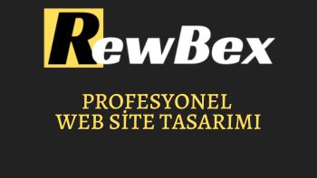 Wordpress ile profesyonel siteler 