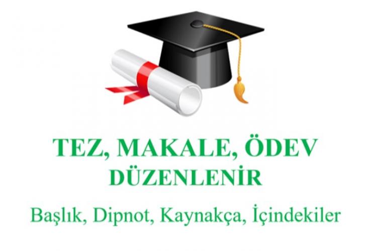 Makale ve Tezlerinize Akademik Seviyede Düzeltme ve Geliştirme