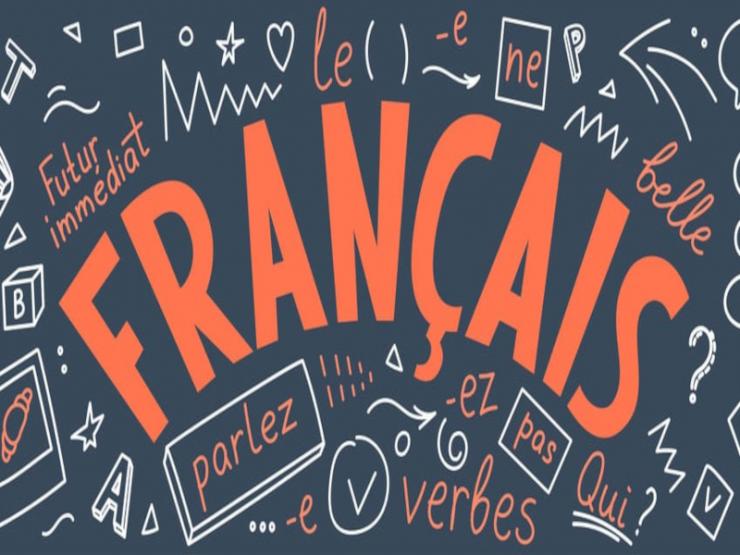 Fransızca Makale Hizmeti (Fransızca/Türkçe)