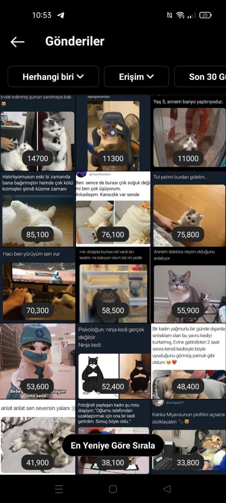 PetShop'lar İçin Kaçırılmaz  Hesapta Reklam