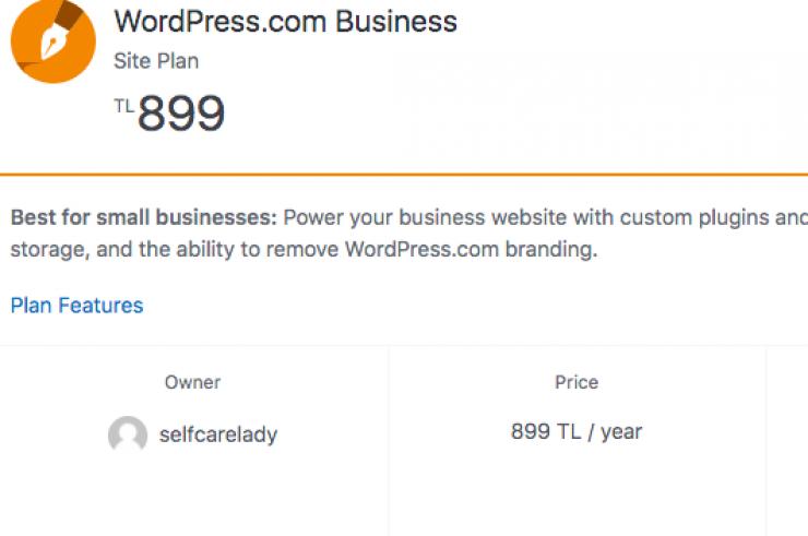 899 TL DEGERINDE WORDPRESS BUSİNESS PLAN WEBSİTESİ + DOMAİN !!! UYGUN FIYATA